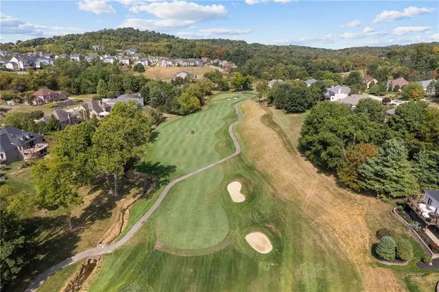 an aerial view of a residential houses covered in trees