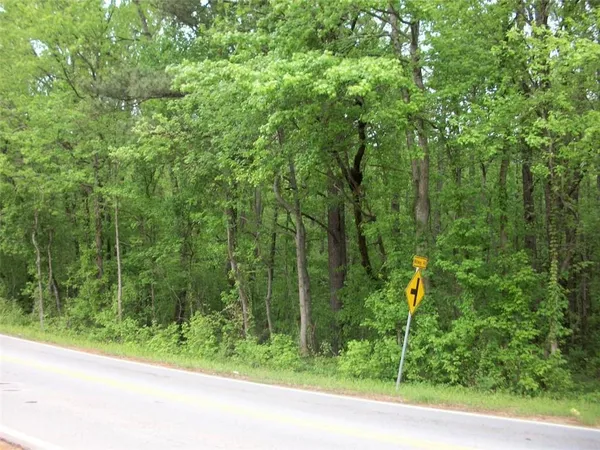 a view of a garden with a trees