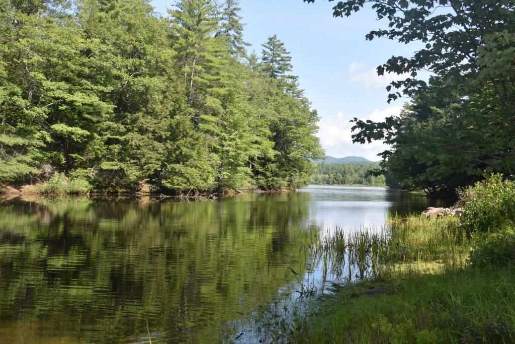0 Gile Pond Road Franklin, NH 03235 - Photo 1 of 15 Gallery Image 1