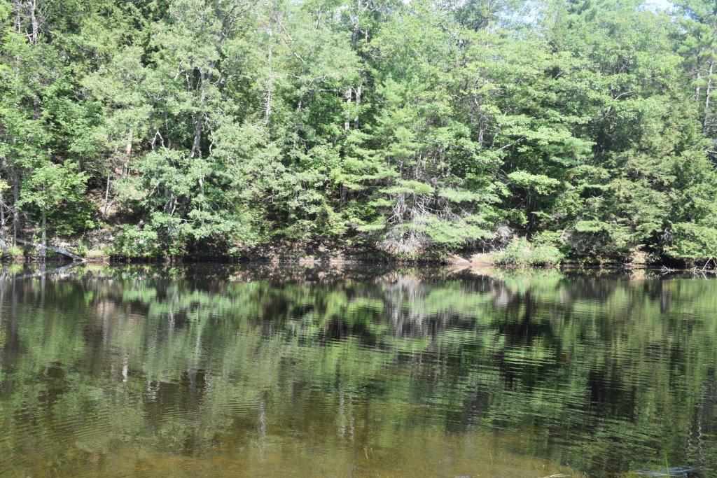 0 Gile Pond Road Franklin, NH 03235 - Photo 3 of 15 Gallery Image 3