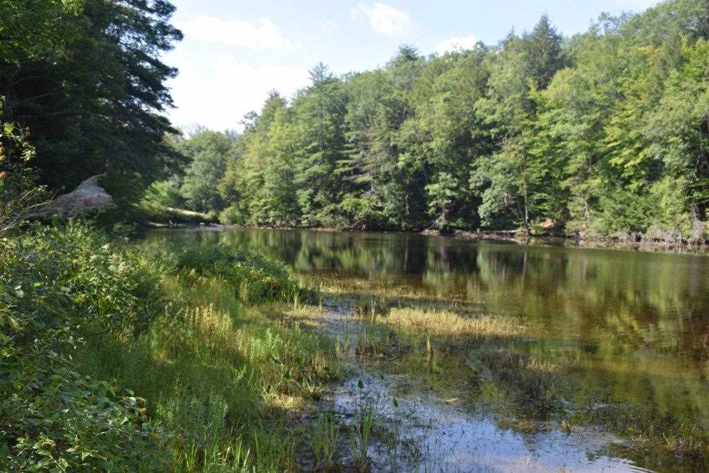 0 Gile Pond Road Franklin, NH 03235 - Photo 4 of 15 Gallery Image 4