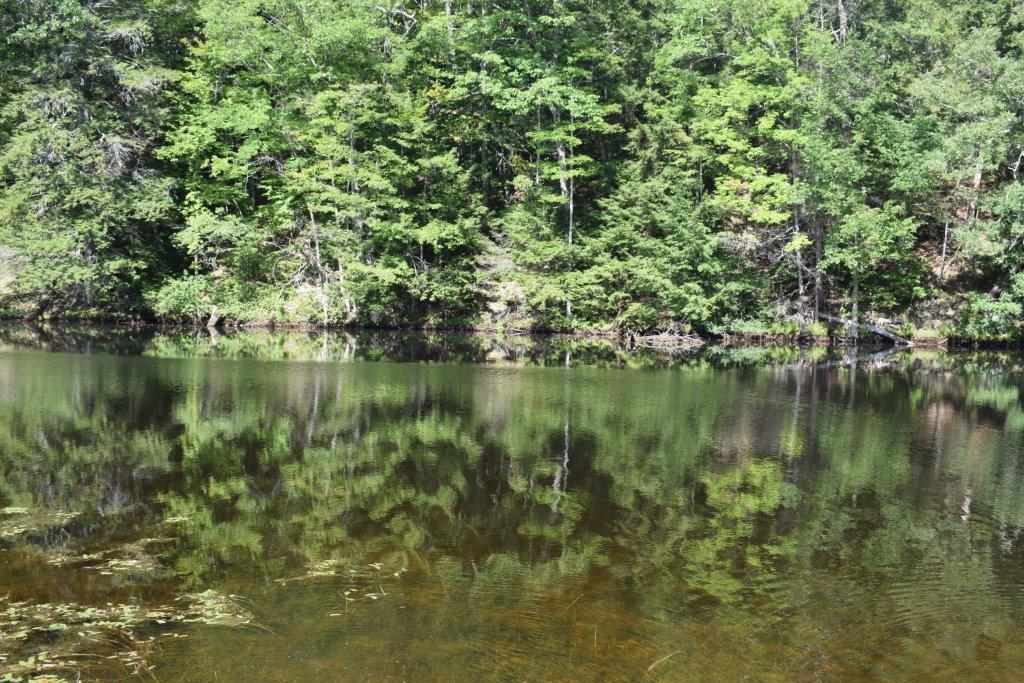 0 Gile Pond Road Franklin, NH 03235 - Photo 5 of 15 Gallery Image 5