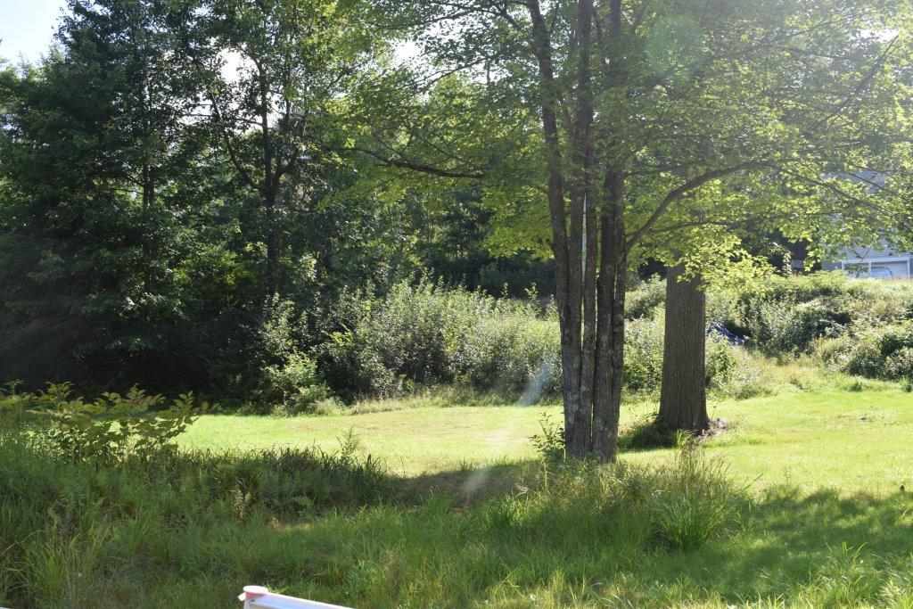 0 Gile Pond Road Franklin, NH 03235 - Photo 9 of 15 Gallery Image 9