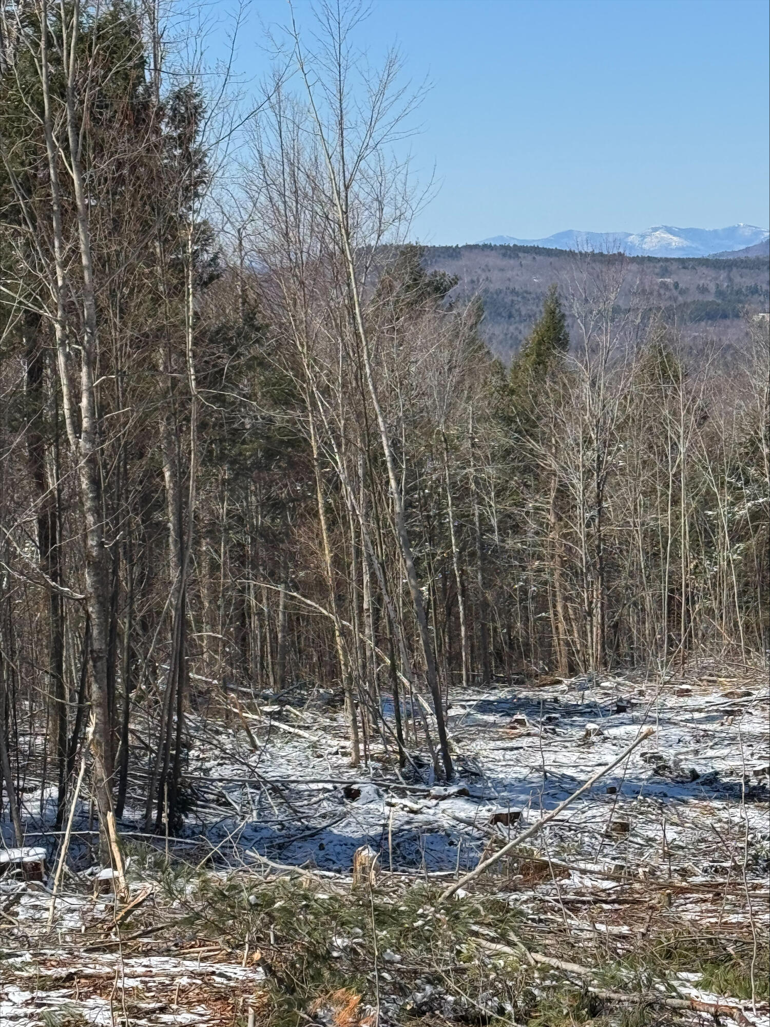 0 Ryerson Hill Road South Paris, ME 04281 - Photo 3 of 5 processed-23E0C4FC-1F75-42A8-9805-08C4F4
