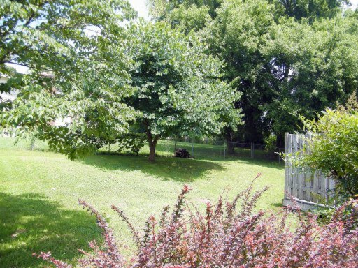 1728 Colonade Road Knoxville, TN 37922 - Photo 38 of 39 Additional Photo