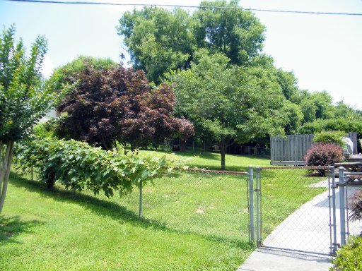 1728 Colonade Road Knoxville, TN 37922 - Photo 39 of 39 Additional Photo