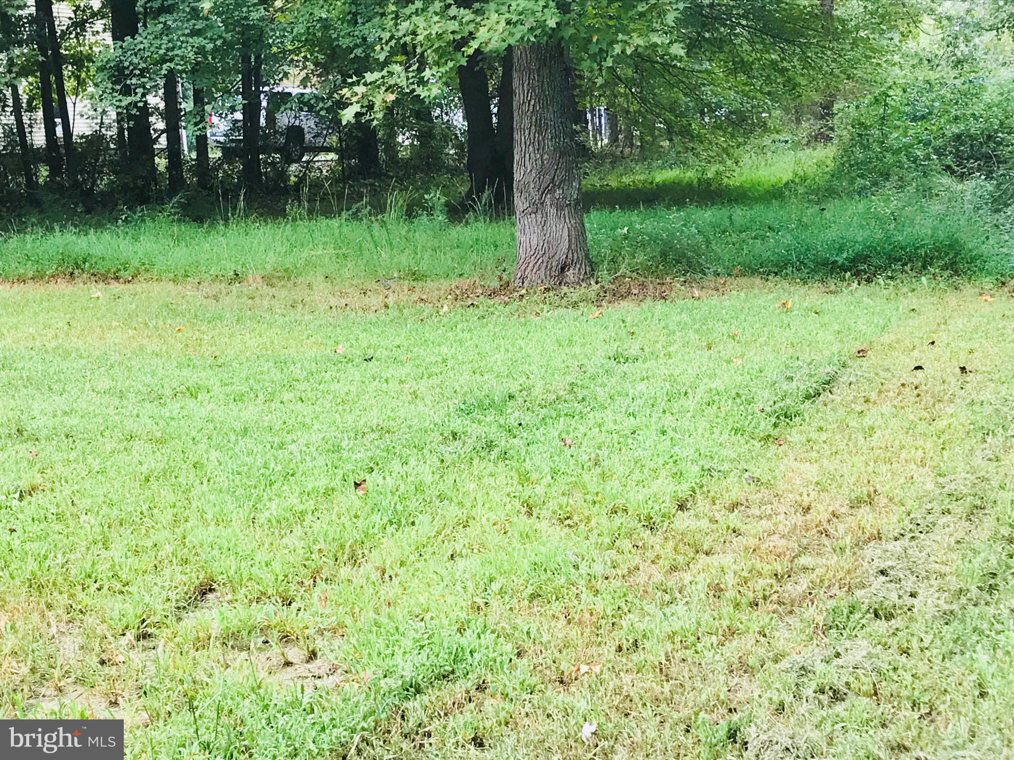23412 Sandpiper Road Chestertown, MD 21620 - Photo 5 of 19 back yard