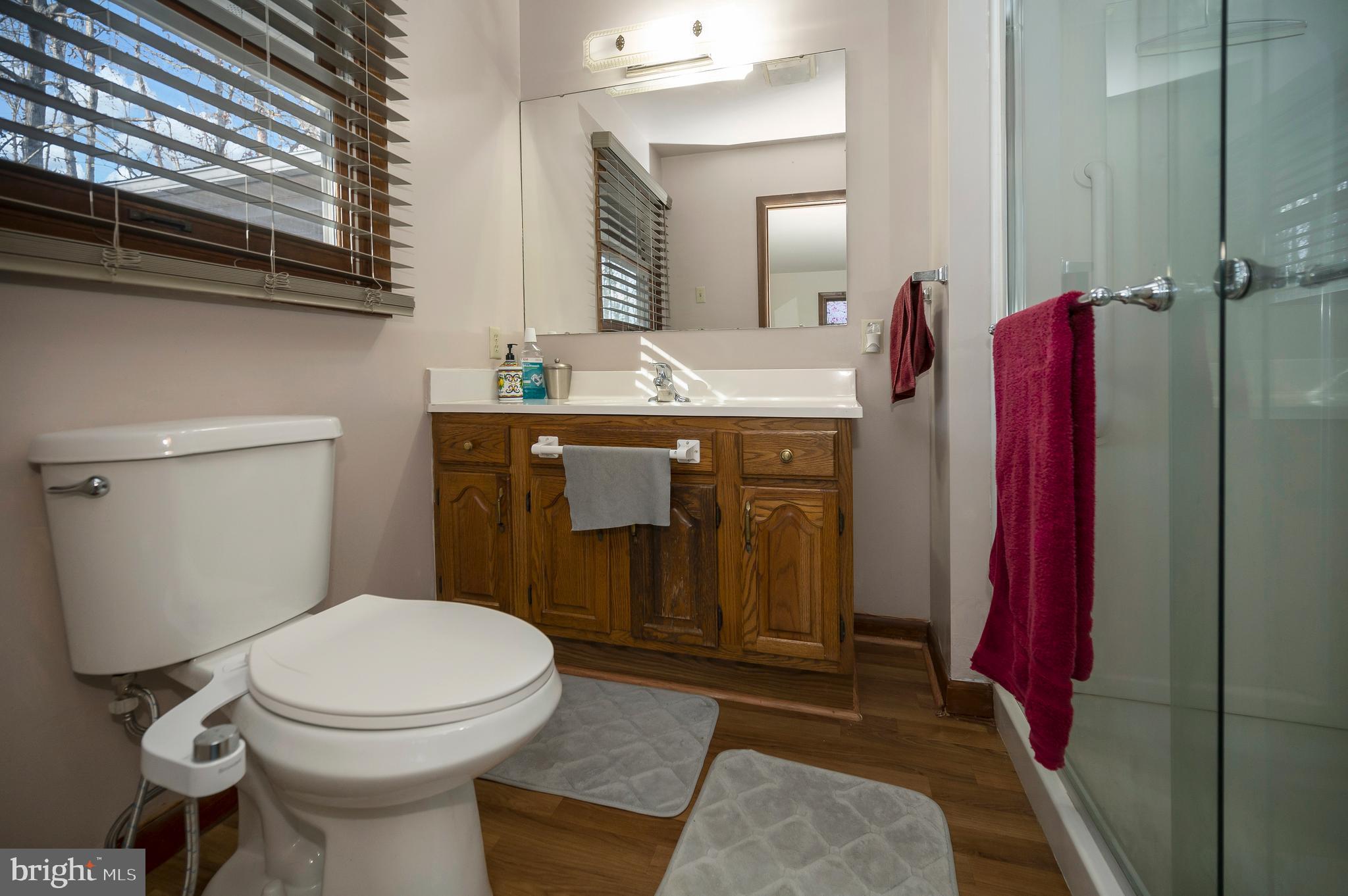 111 Birchside Circle Locust Grove, VA 22508 - Photo 22 of 61 Walk in stall shower