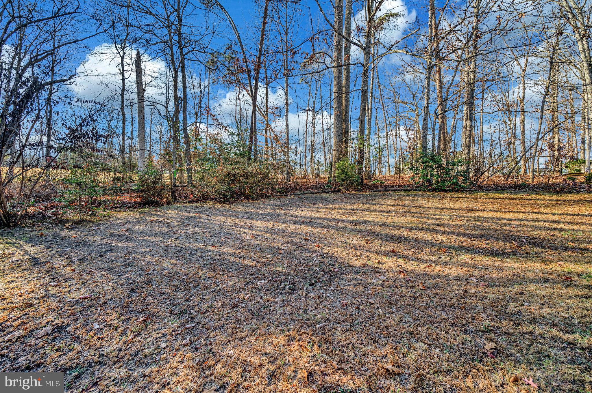 111 Birchside Circle Locust Grove, VA 22508 - Photo 46 of 61 Backs to golf course