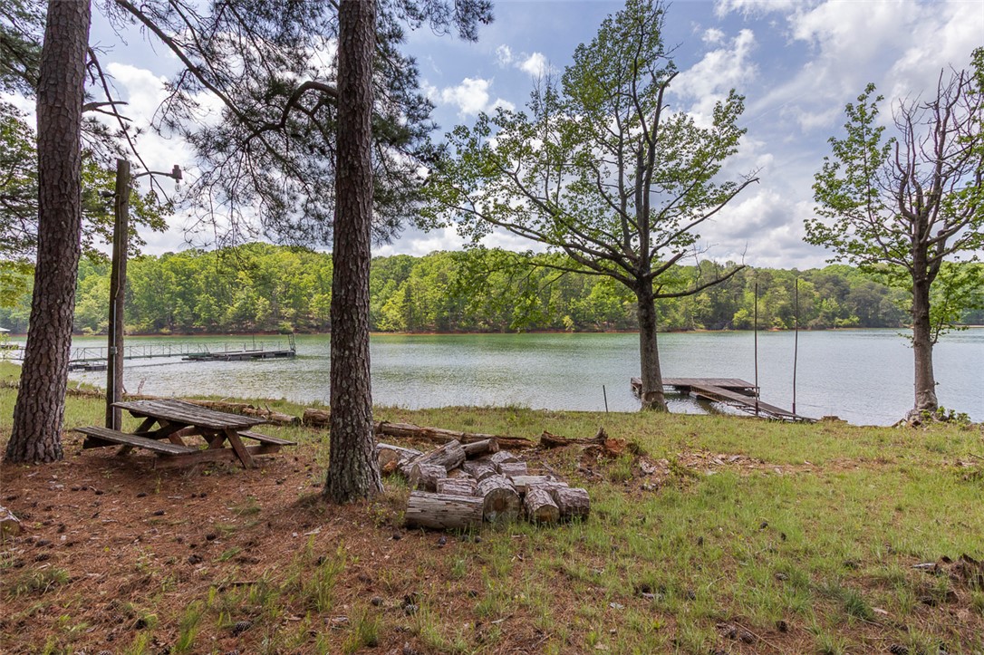 333 Lake Ridge Lane Anderson, SC 29626 - Photo 32 of 38