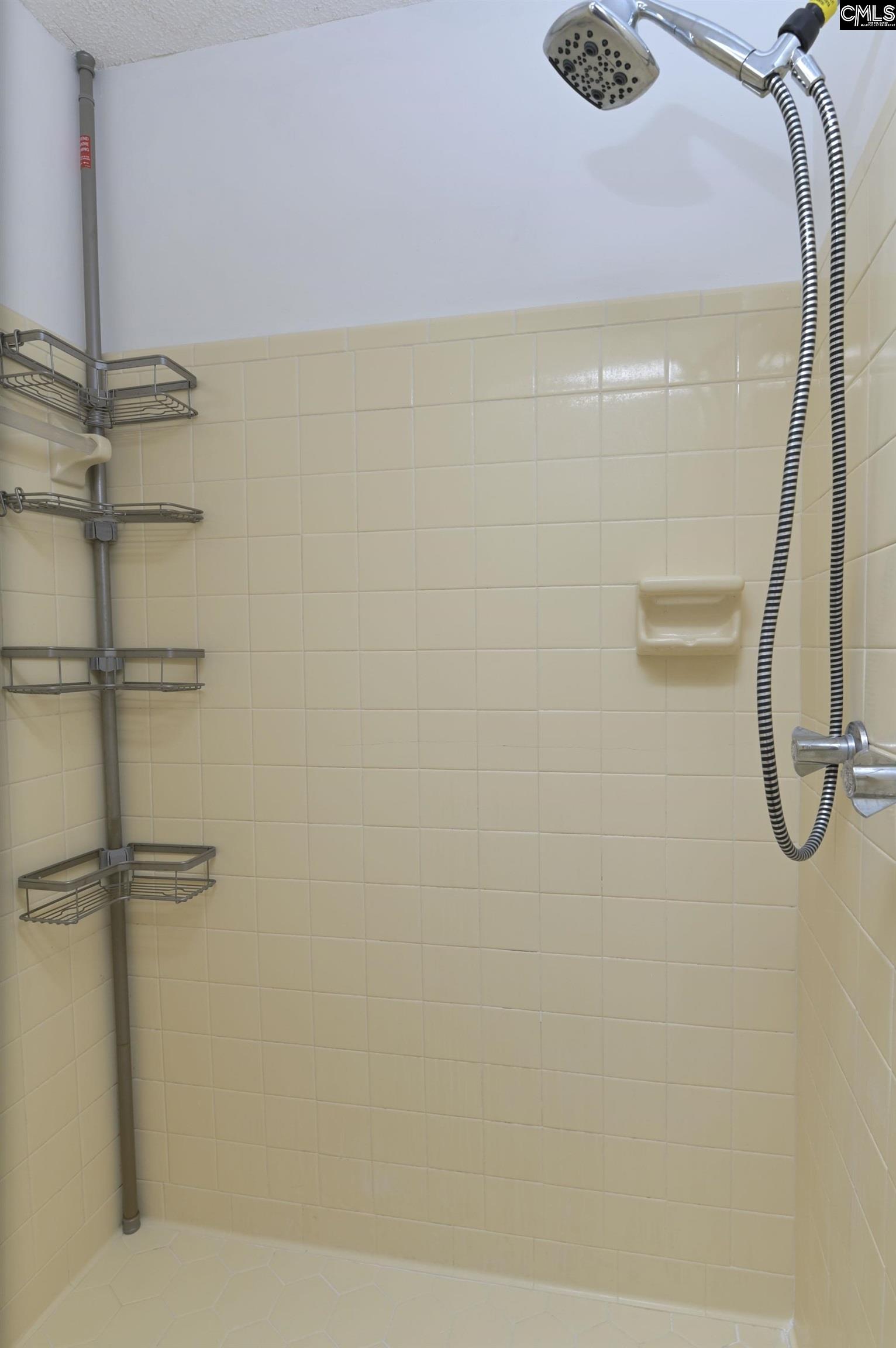 257 Brookspring Road Columbia, SC 29223 - Photo 39 of 63