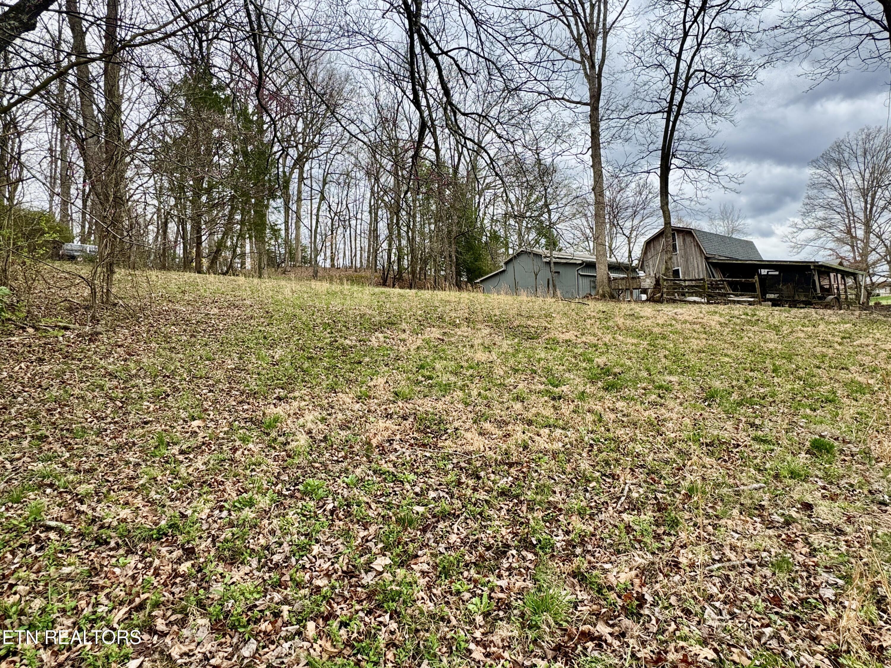 Bland Road Clinton, TN 37716 - Photo 4 of 8 IMG_6114