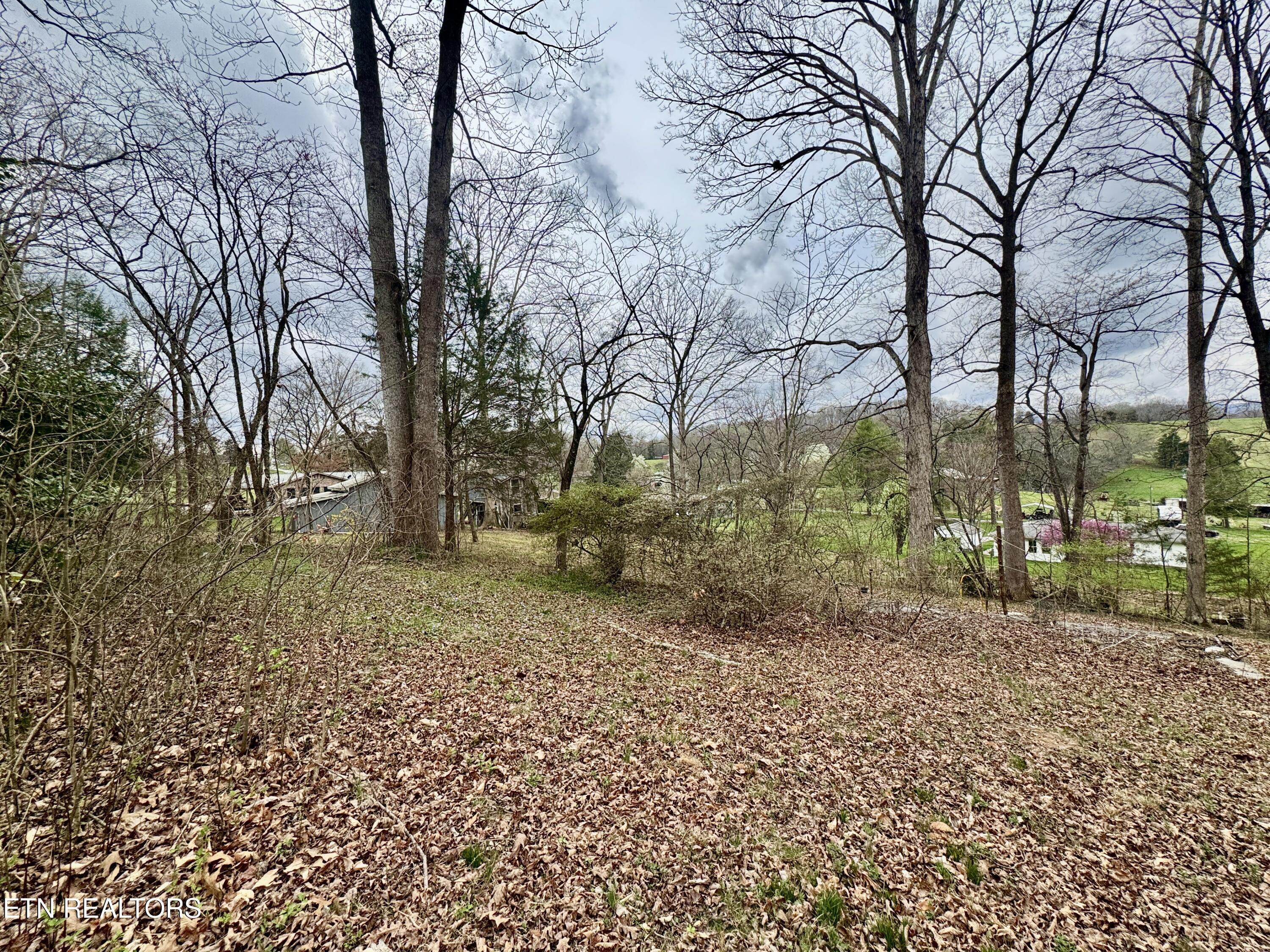 Bland Road Clinton, TN 37716 - Photo 8 of 8 IMG_6118