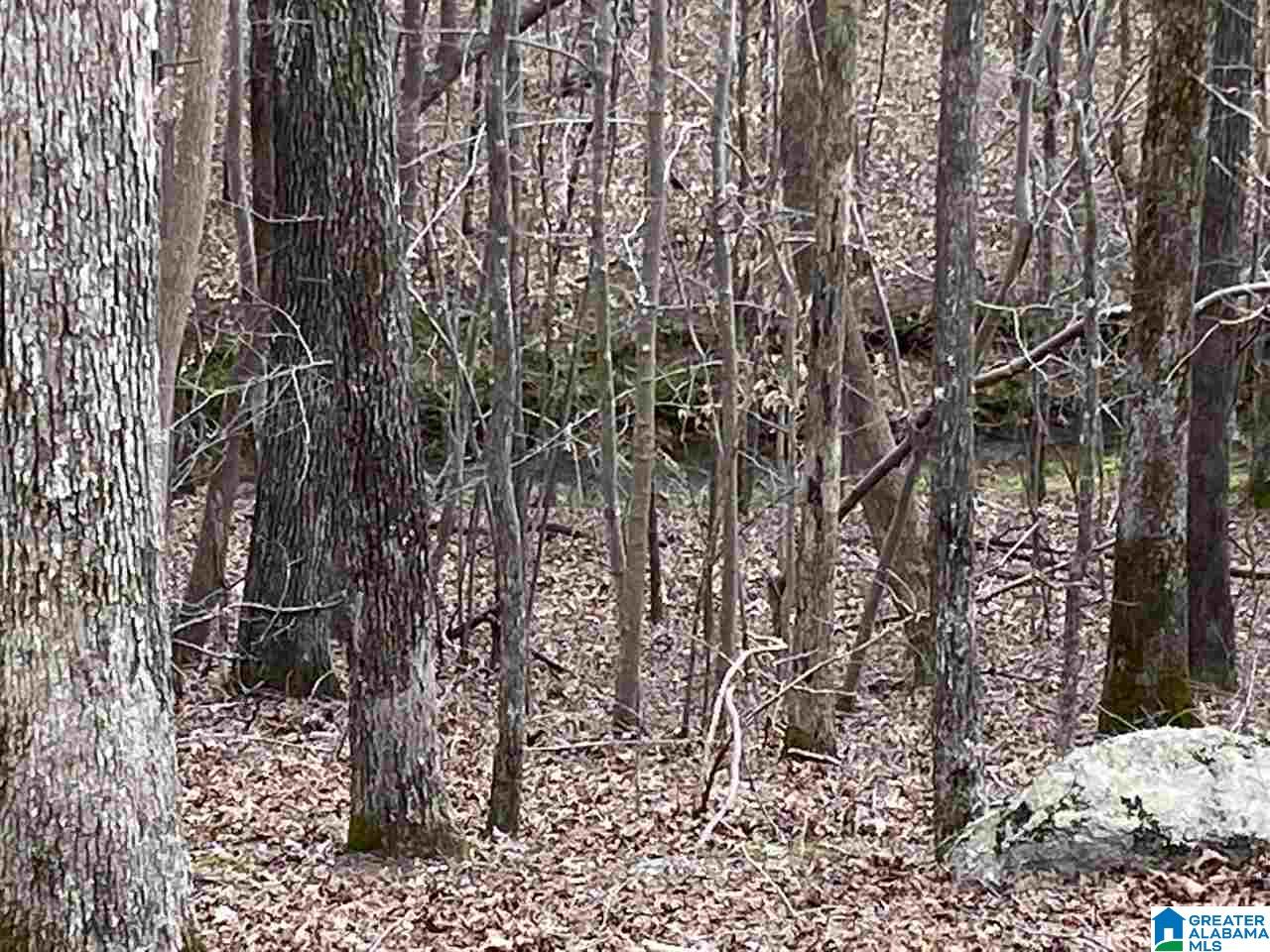 722 Robinson Road Gallant, AL 35972 - Photo 13 of 31