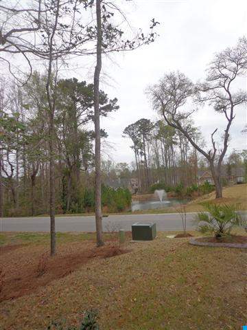 109 Rivers Edge Drive Conway, SC 29526 - Photo 3 of 15 Gallery Image 3