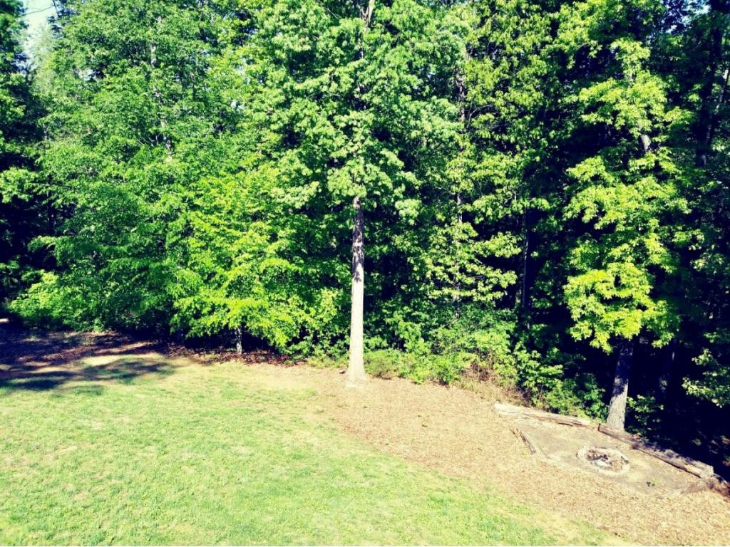 289 Free Hill Road Gray, TN 37615 - Photo 28 of 33 Photo 28