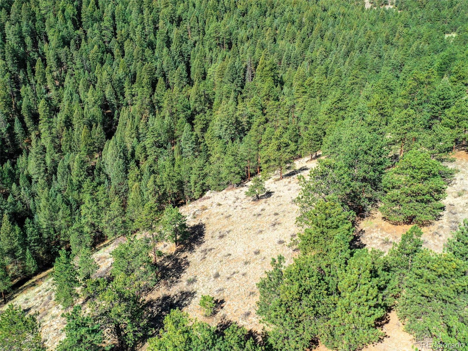 0 Highway 74 Evergreen, CO 80439 - Photo 11 of 40