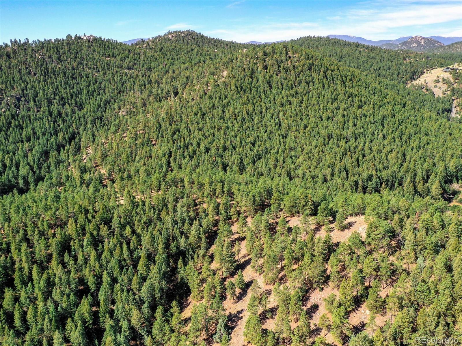 0 Highway 74 Evergreen, CO 80439 - Photo 15 of 40