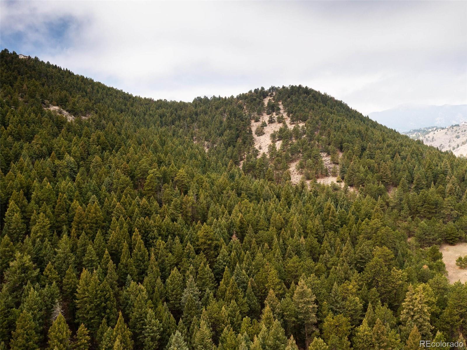 0 Highway 74 Evergreen, CO 80439 - Photo 36 of 40