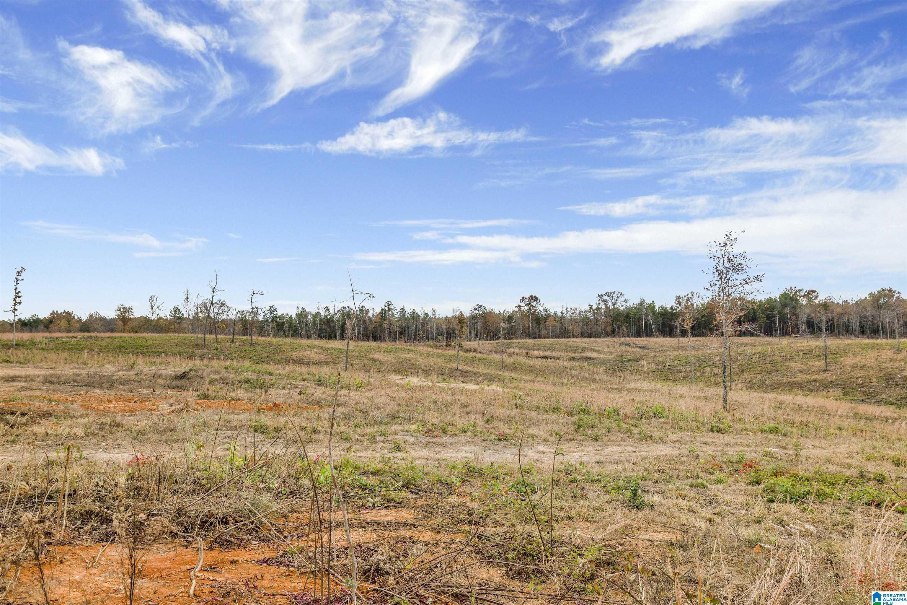 6060 Huckleberry Lane Morris, AL 35116 - Photo 30 of 35