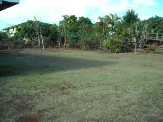 4616 Melemele Road Eleele, HI 96705 - Photo 3 of 18 Gallery Image 3