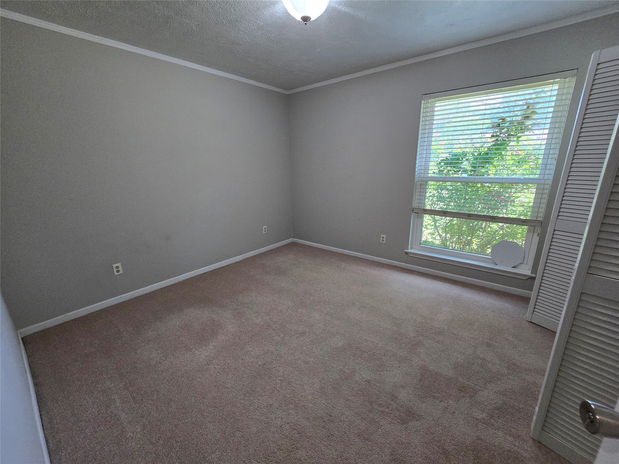 205 East Cherokee Drive Harker Heights, TX 76548 - Photo 19 of 23 A well-lit bedroom provides a tranquil retreat with a generous window overlooking green foliage.