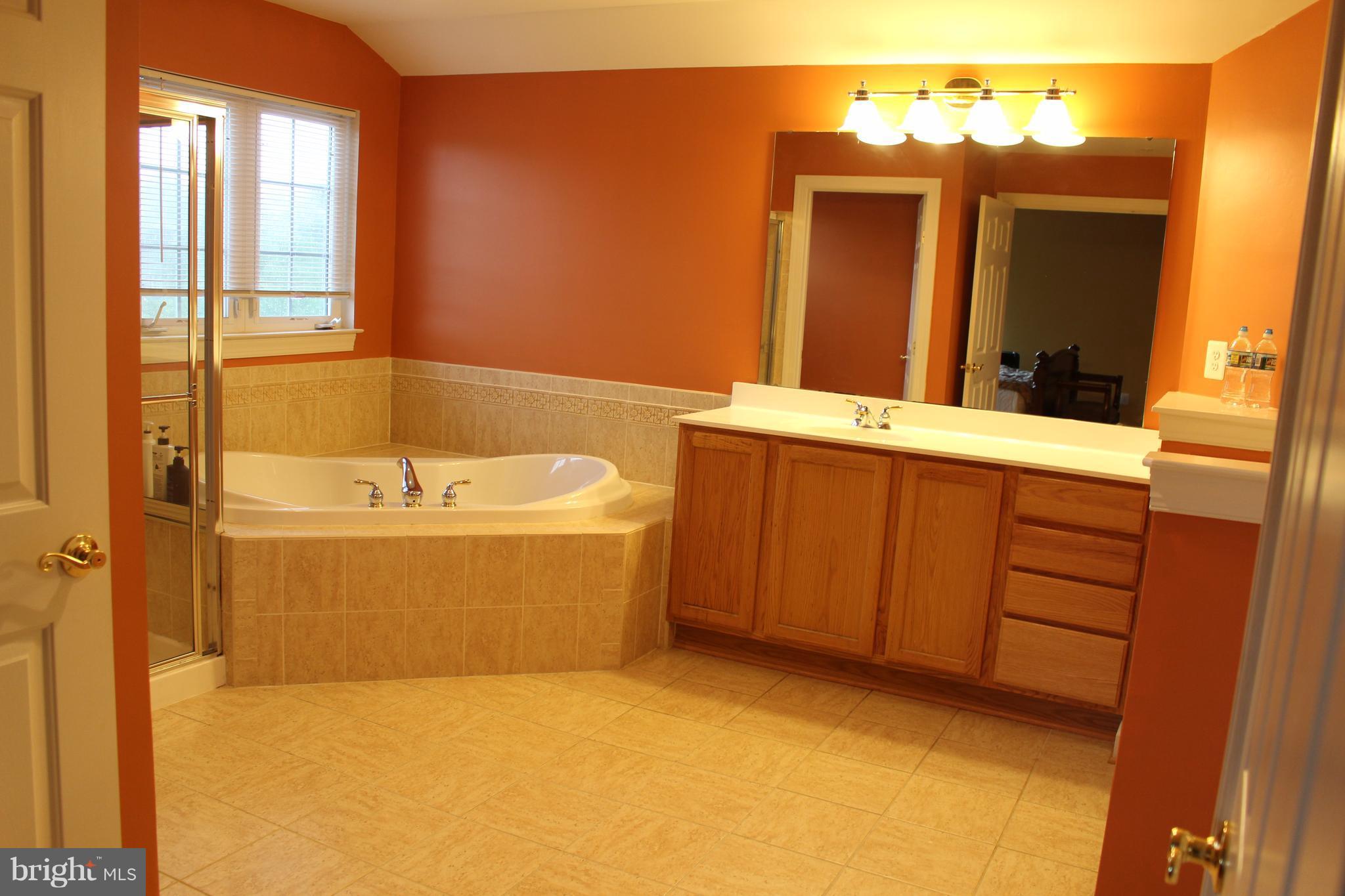 405 Potomac Ridge Drive Fort Washington, MD 20744 - Photo 25 of 30 Bath (Master)