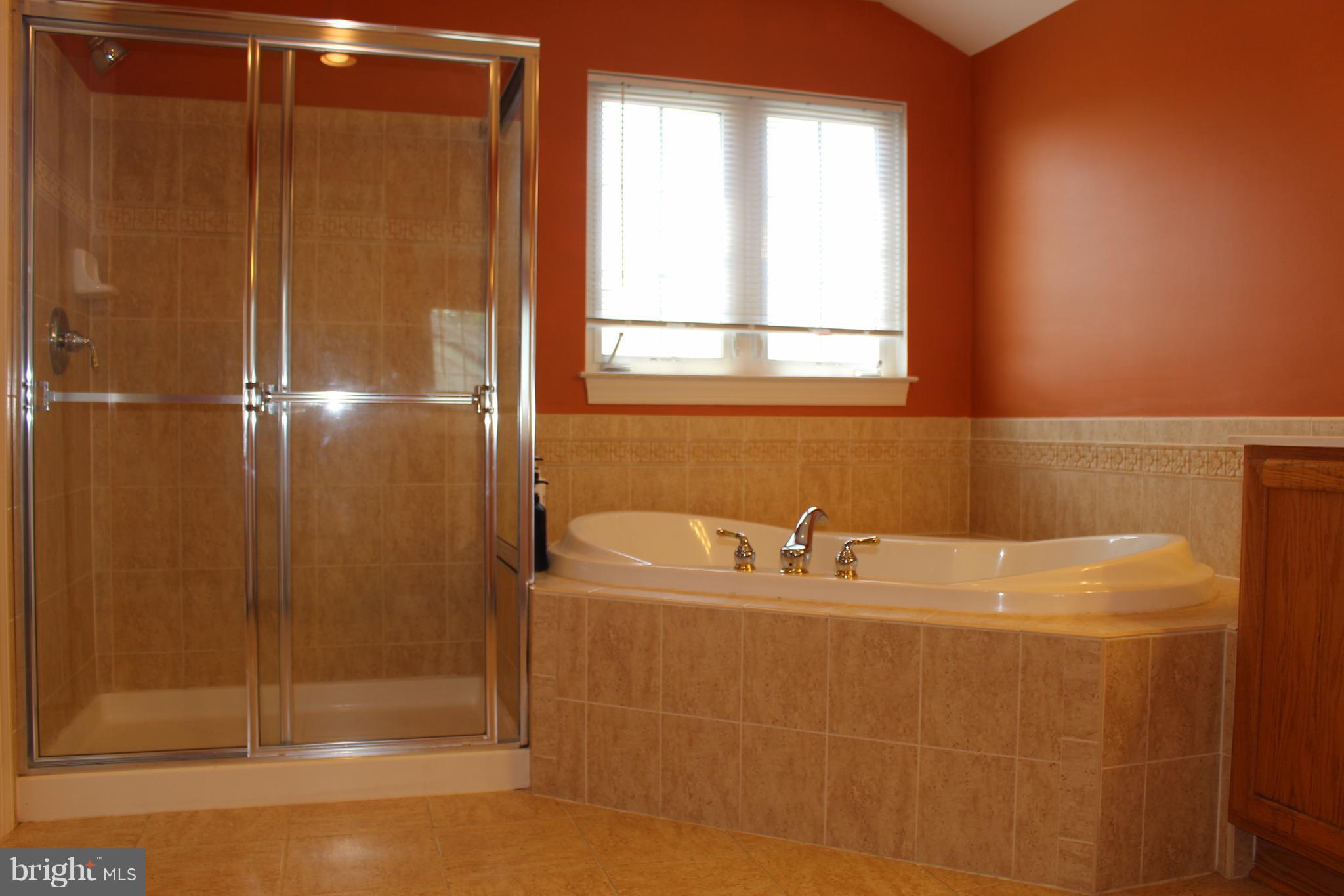 405 Potomac Ridge Drive Fort Washington, MD 20744 - Photo 26 of 30 Bath (Master)