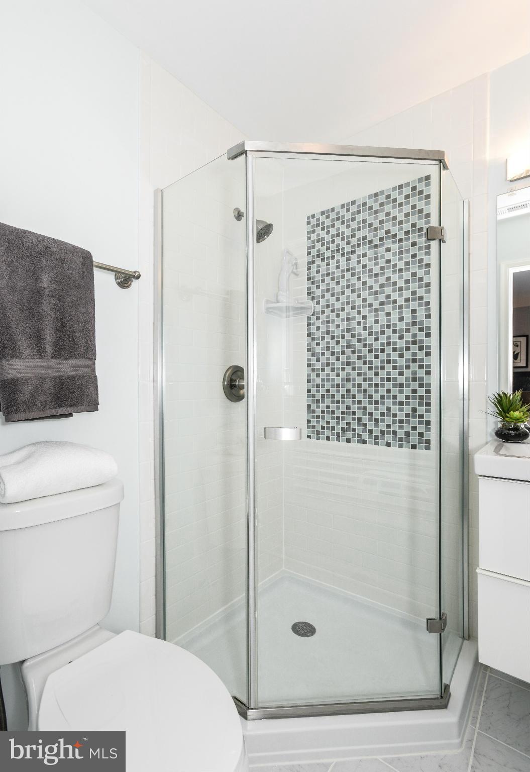 2103 15th Street Southeast Washington, DC 20020 - Photo 20 of 30 Bath
