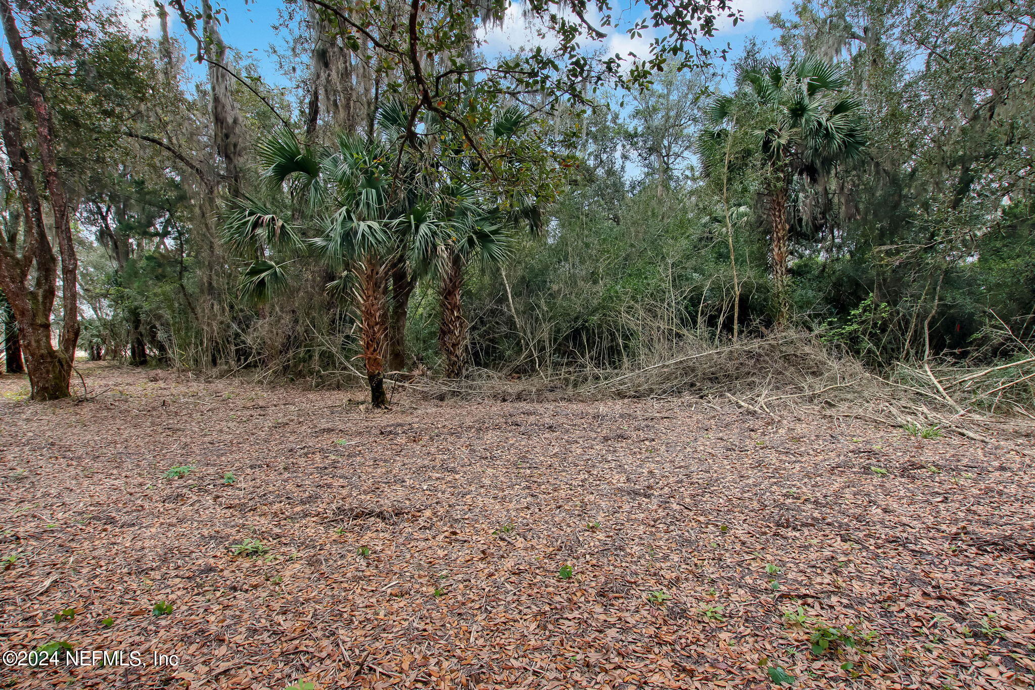 264 Shell Ridge Lane Ponte Vedra, FL 32081 - Photo 4 of 22 3-web-or-mls-River Landing Lot 101-3