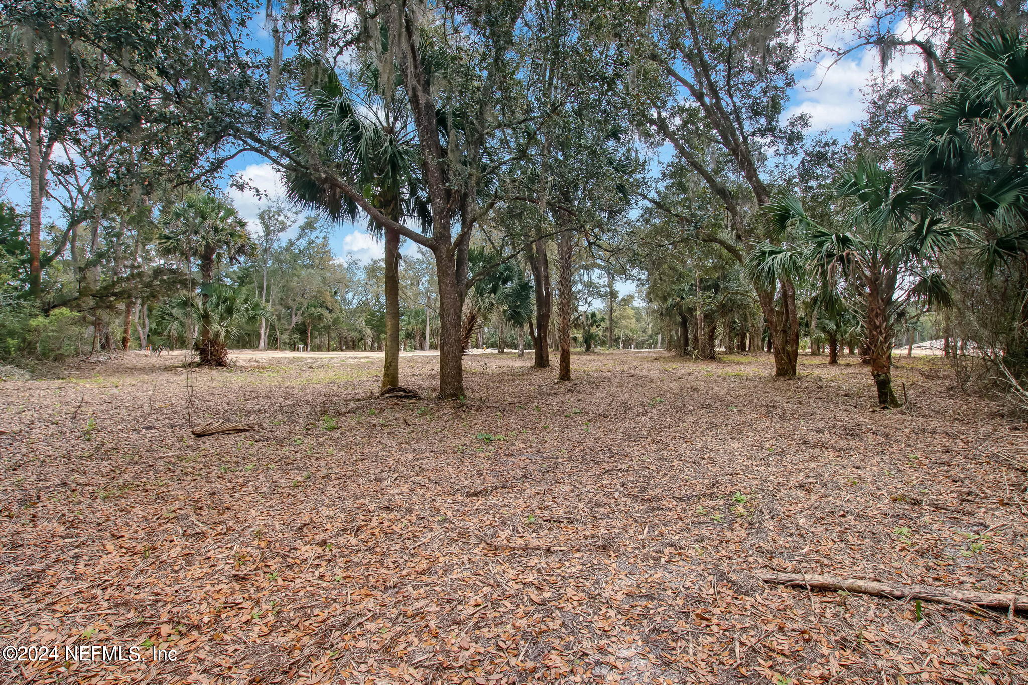 264 Shell Ridge Lane Ponte Vedra, FL 32081 - Photo 5 of 22 4-web-or-mls-River Landing Lot 101-4