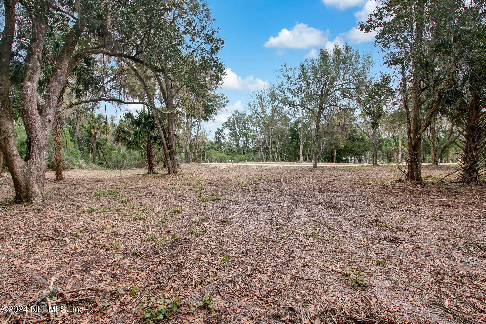 264 Shell Ridge Lane Ponte Vedra, FL 32081 - Photo 6 of 22 5-web-or-mls-River Landing Lot 101-5