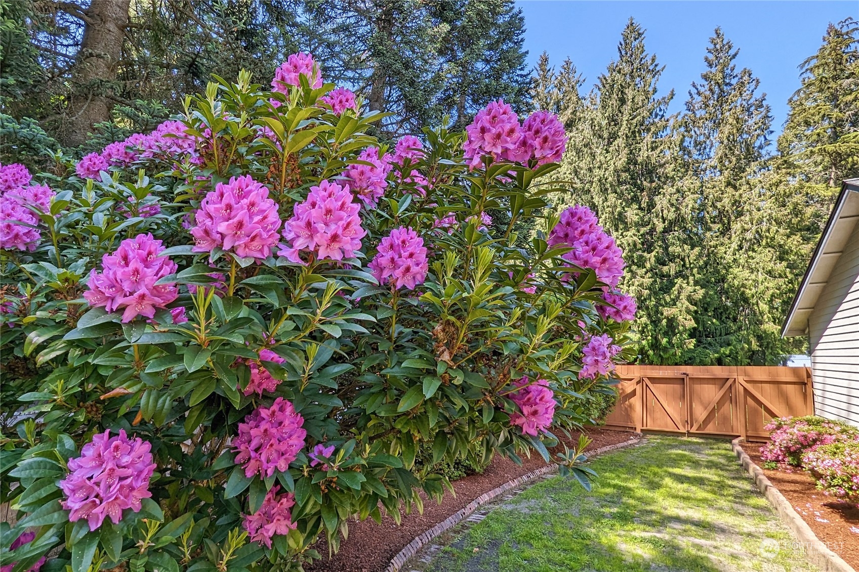 3860 Northeast Iverson Road Poulsbo, WA 98370 - Photo 31 of 40 a view of a flower in a yard