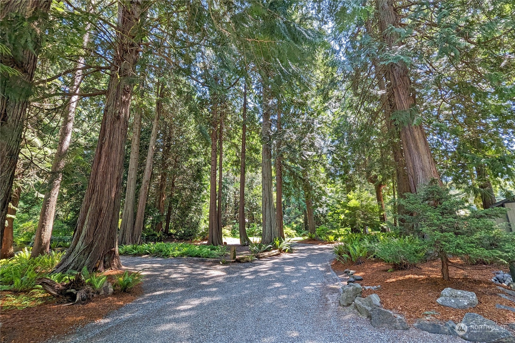 3860 Northeast Iverson Road Poulsbo, WA 98370 - Photo 32 of 40 a backyard of a house with lots of green space