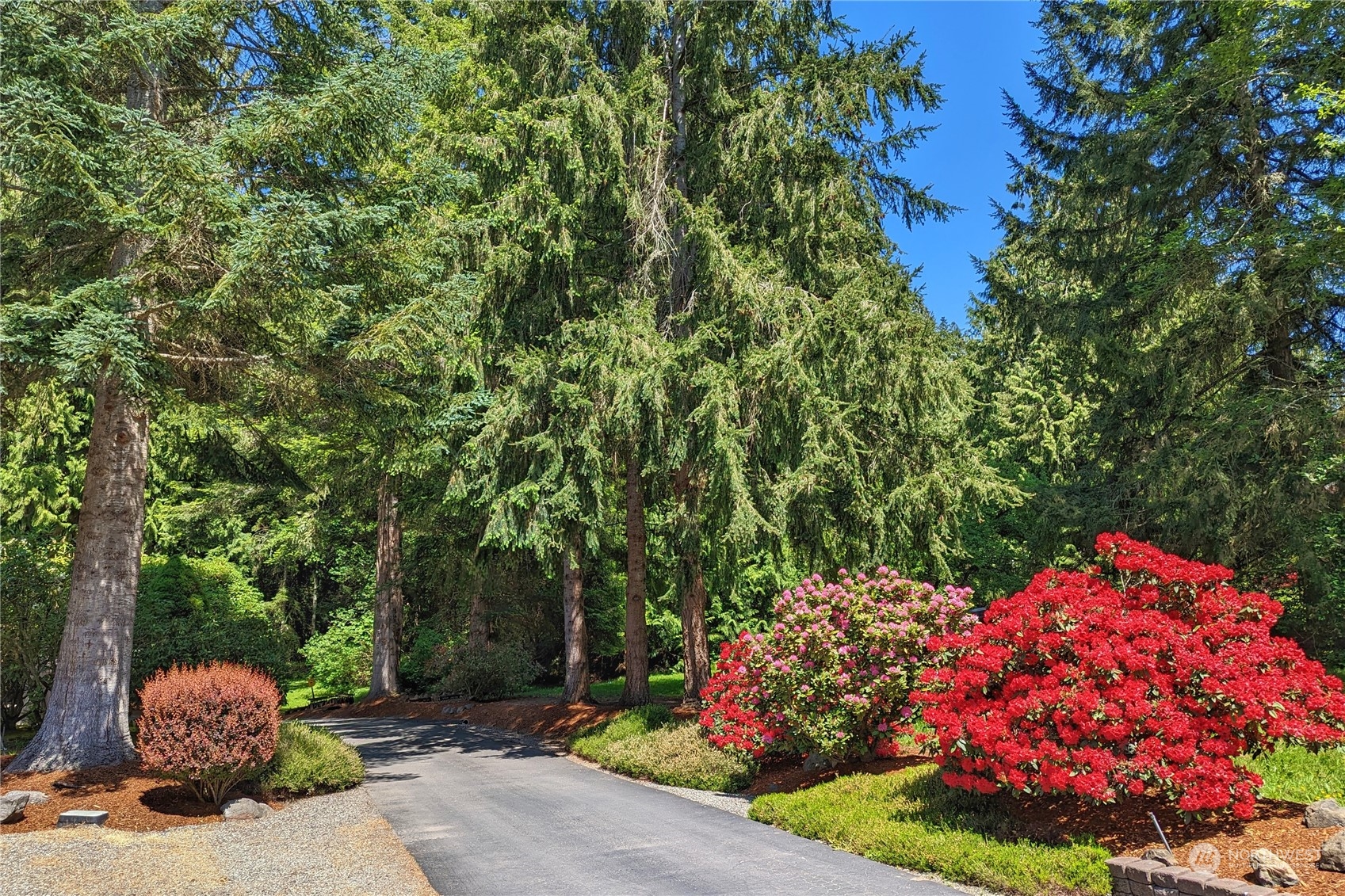 3860 Northeast Iverson Road Poulsbo, WA 98370 - Photo 5 of 40 a view of a outdoor space