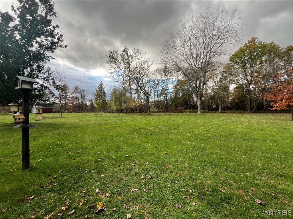 7812 Northfield Road Clarence, NY 14032 - Photo 38 of 39