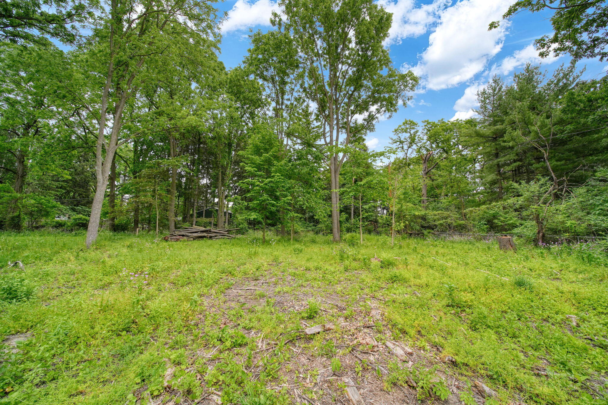 3145 Platt Road Ann Arbor, MI 48108 - Photo 3 of 16 15-web-or-mls-DSC08890_HDR