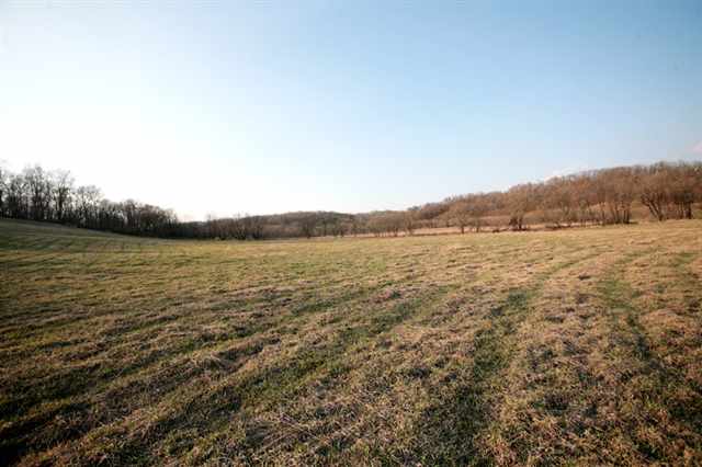 10227 Messmer Road Savanna, IL 61074 - Photo 5 of 12 Gallery Image 5