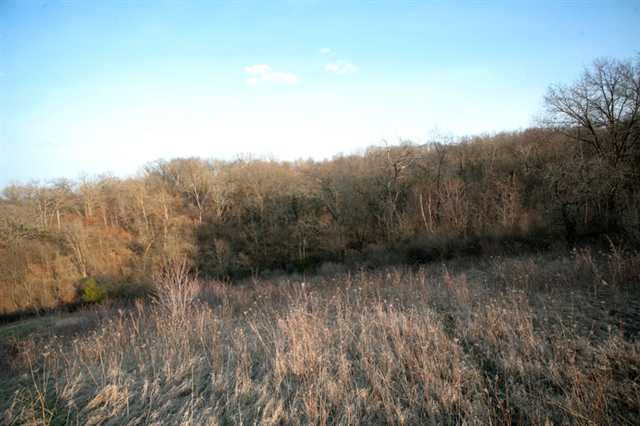 10227 Messmer Road Savanna, IL 61074 - Photo 6 of 12 Gallery Image 6