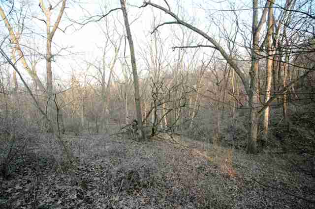 10227 Messmer Road Savanna, IL 61074 - Photo 7 of 12 Gallery Image 7
