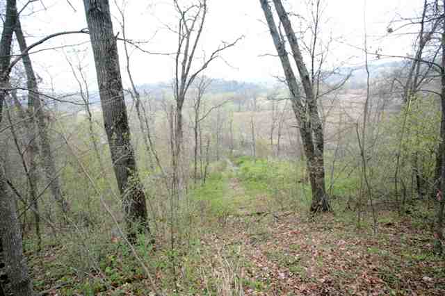 10227 Messmer Road Savanna, IL 61074 - Photo 10 of 12 Gallery Image 10