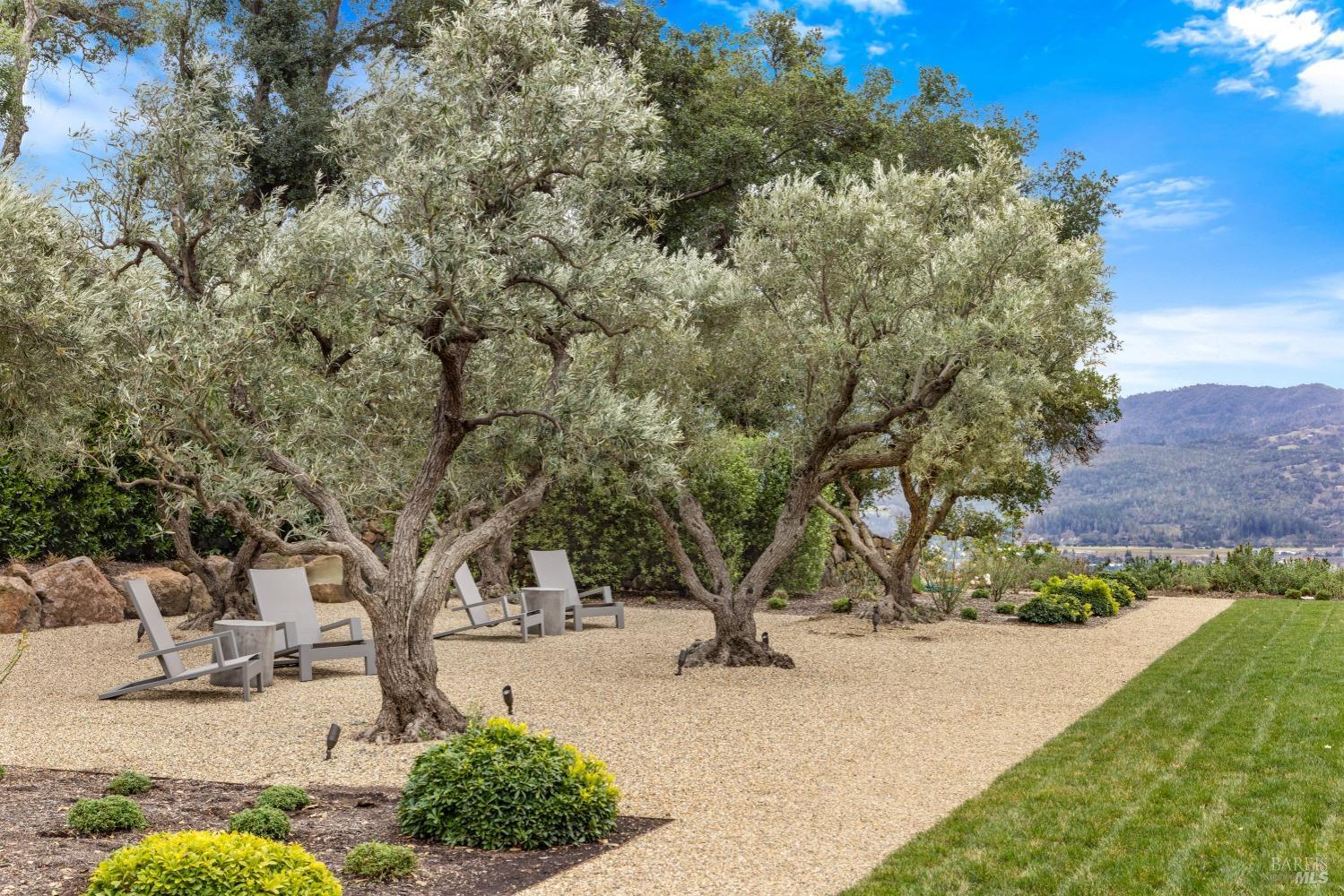 860 Meadowood Lane St. Helena, CA 94574 - Photo 71 of 77