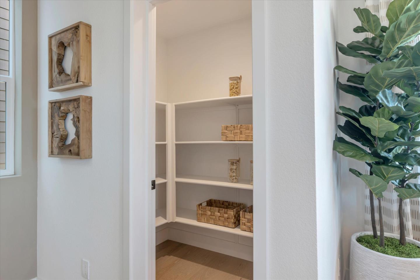 321 Isabelline Court San Ramon, CA 94583 - Photo 6 of 14 a white room with wooden floor and a potted plant