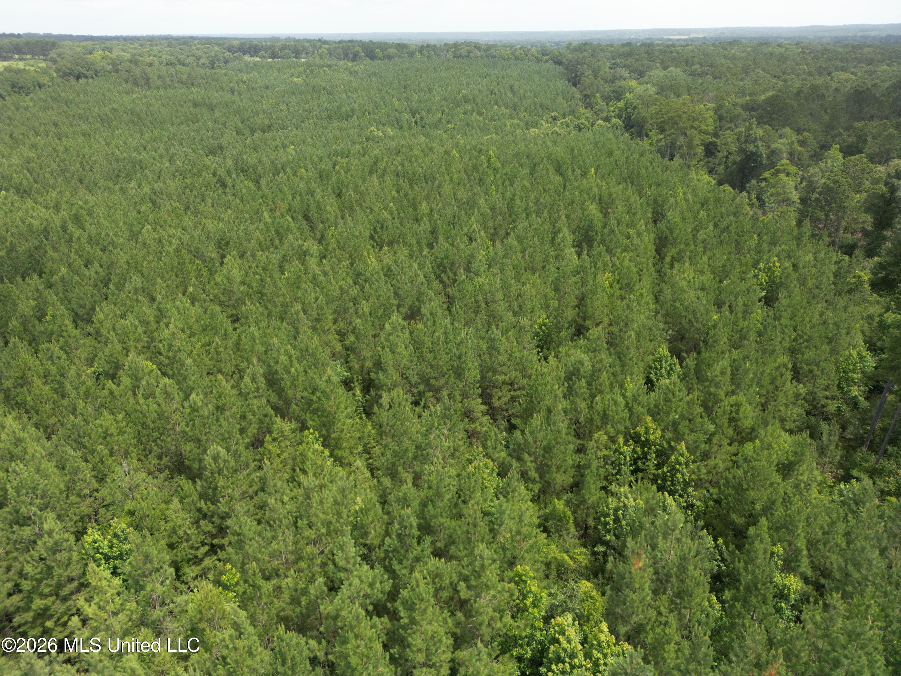 Summit Holmesville Road McComb, MS 39648 - Photo 7 of 29 DJI_0615