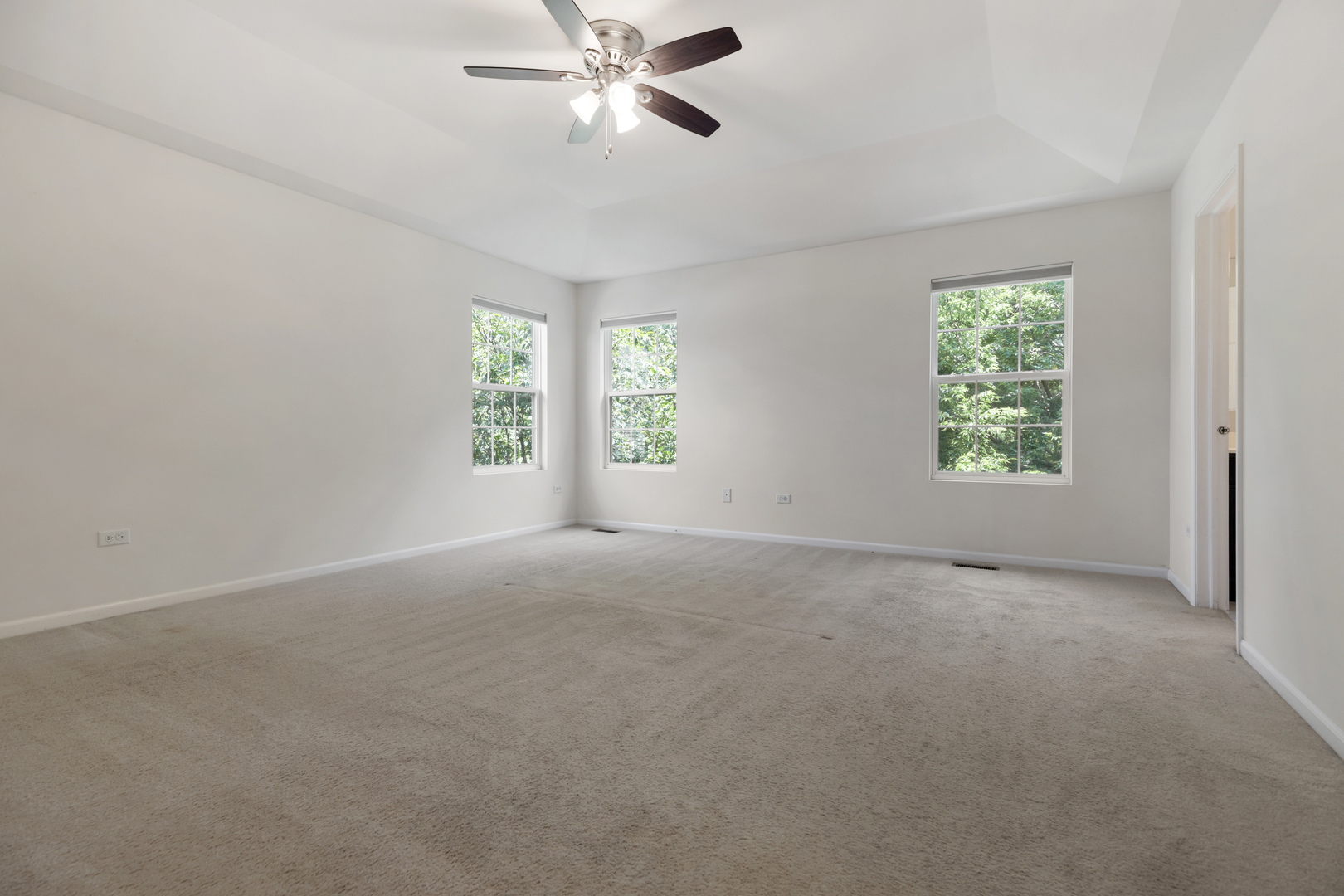 1022 Ravendale Court Naperville, IL 60540 - Photo 13 of 28