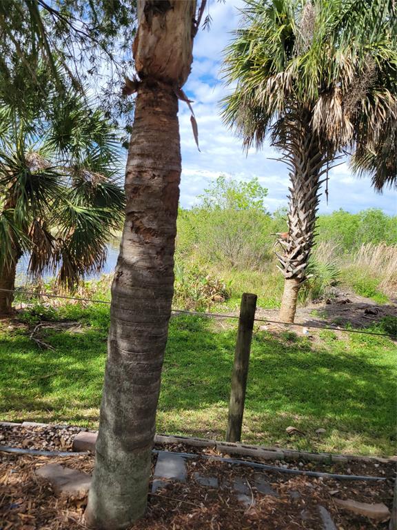 3759 Southwest 6th Avenue Okeechobee, FL 34974 - Photo 23 of 27 a view of a garden with a tree