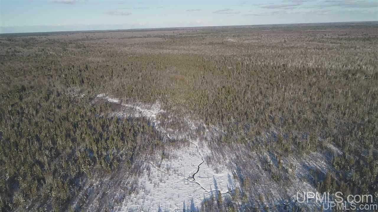 80-acres Co Rd N415 McMillan, MI 49853 - Photo 28 of 36
