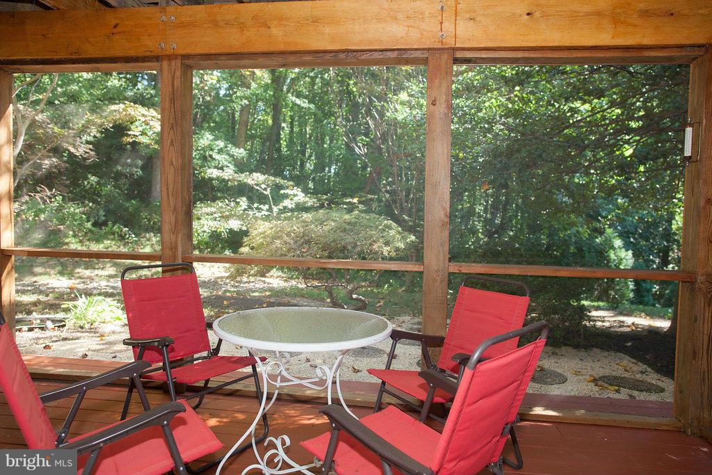 512 Andrew Hill Road Arnold, MD 21012 - Photo 23 of 29 Looking out to woods from LL screened porch!