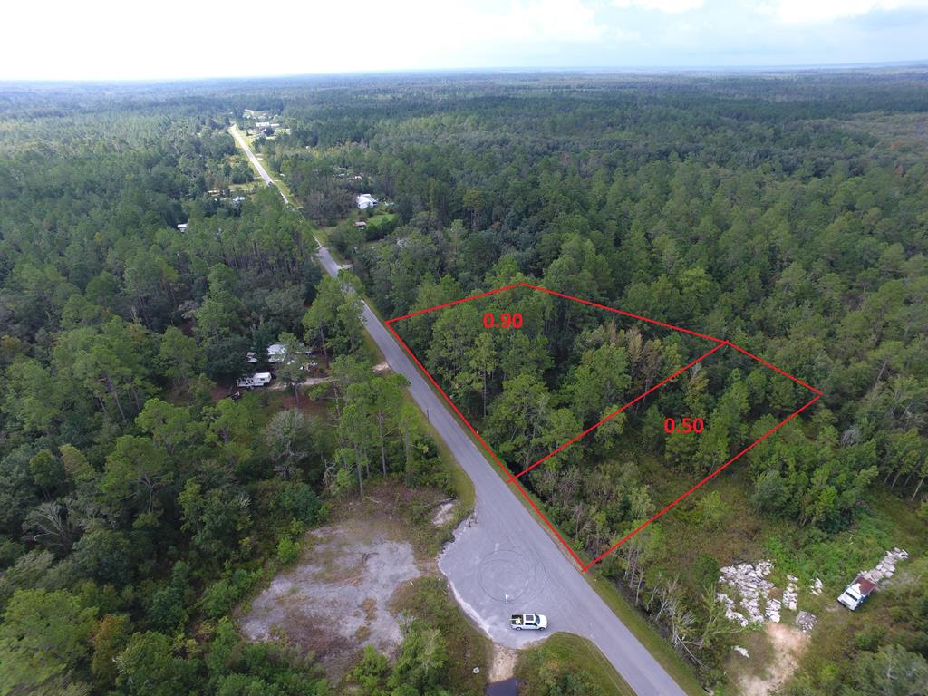 0 Old Bay City Road Wewahitchka, FL 32465 - Photo 1 of 24