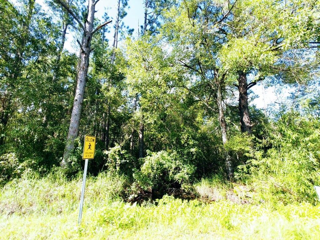0 Old Bay City Road Wewahitchka, FL 32465 - Photo 12 of 24